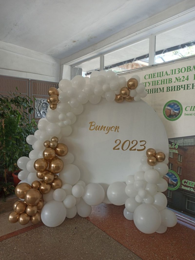 1110-0046 Фотозона з повітряних кульок, розмір 200 на 200 см